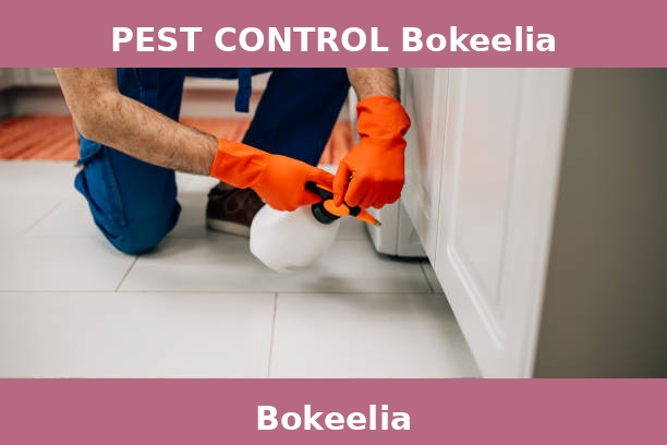 PEST CONTROL Bokeelia
